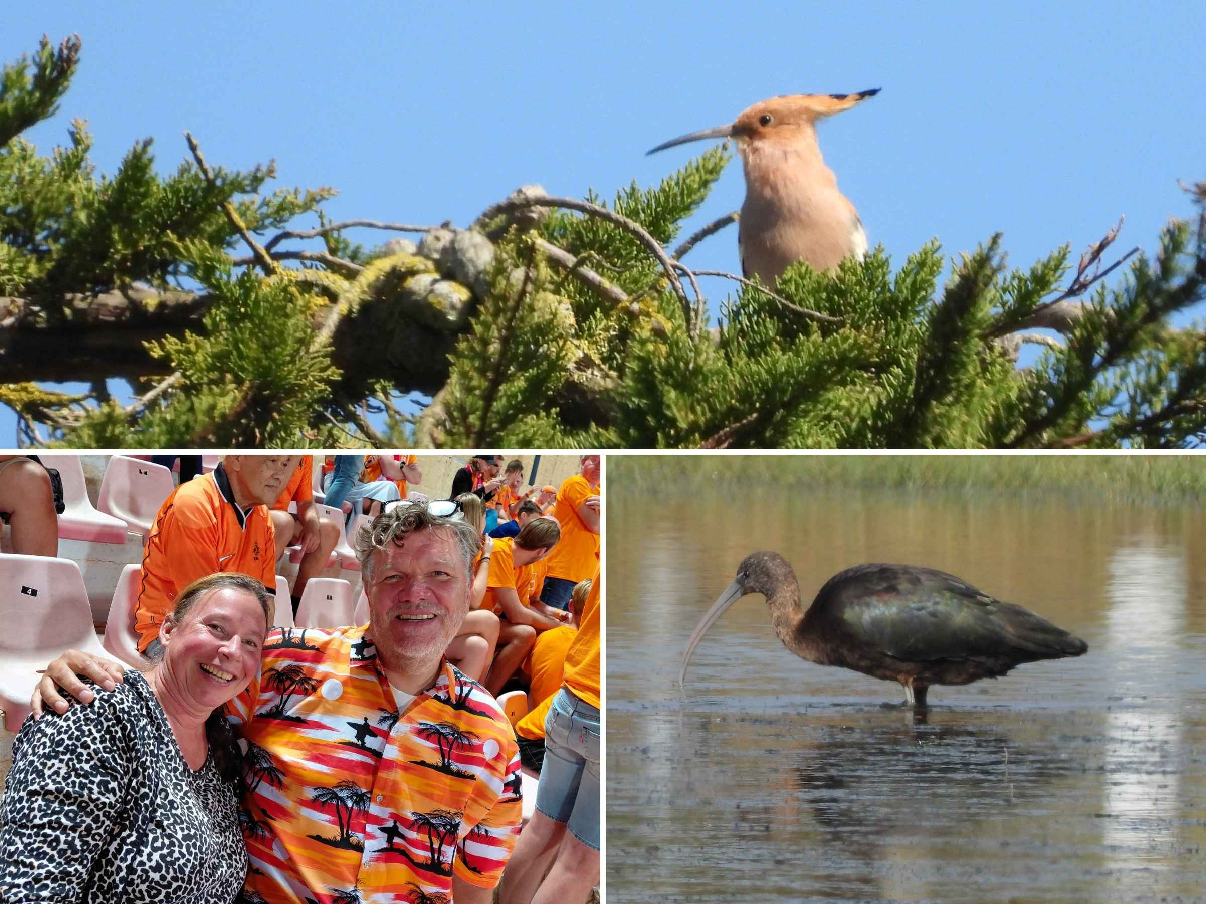 Newsletter 2025 Hemko prive